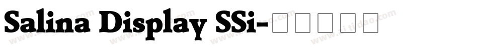 Salina Display SSi字体转换